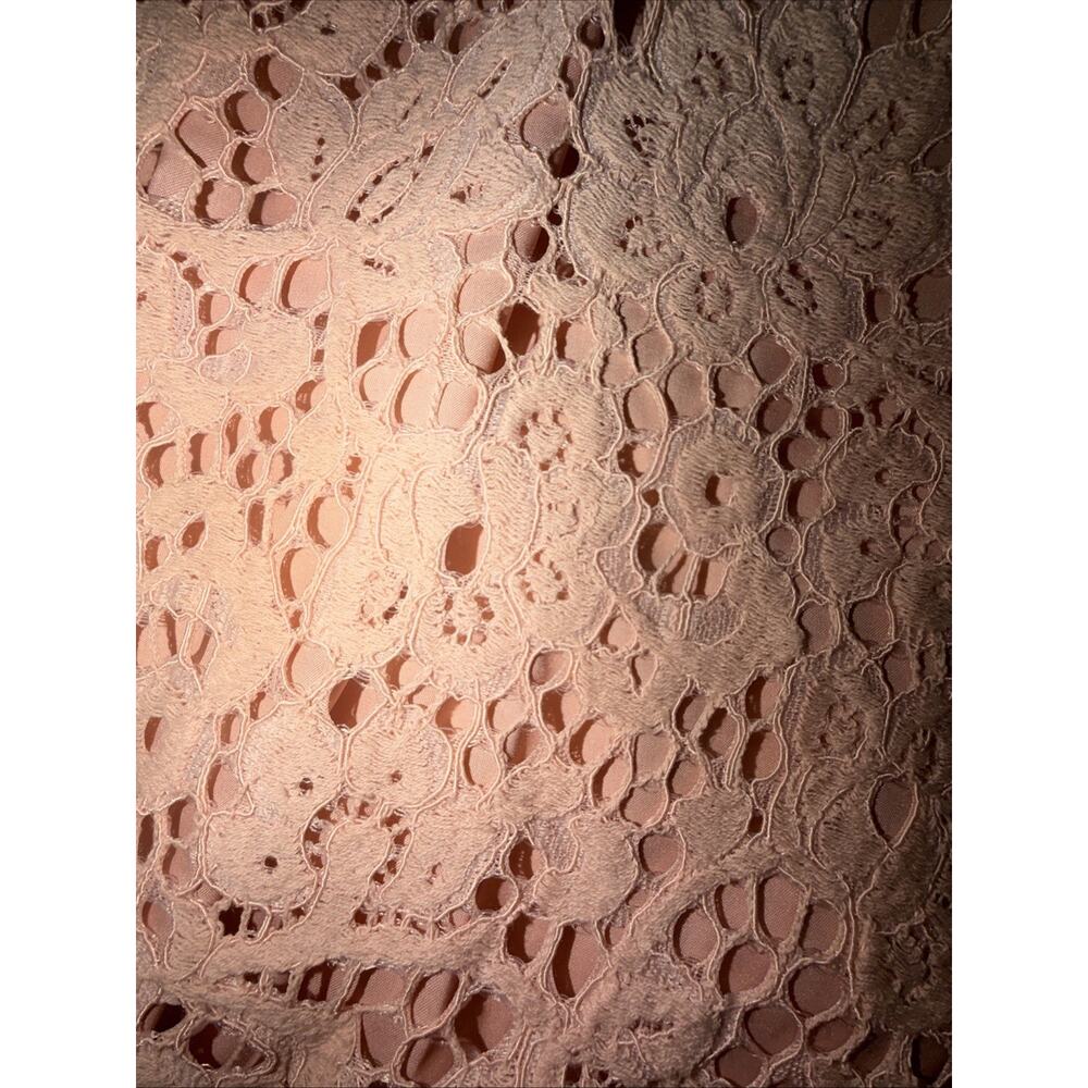 NWT BB DAKOTA PINK LACE ELEGANT DRESS SIZE MED MSRP $92 (AB11) - Picture 4 of 4